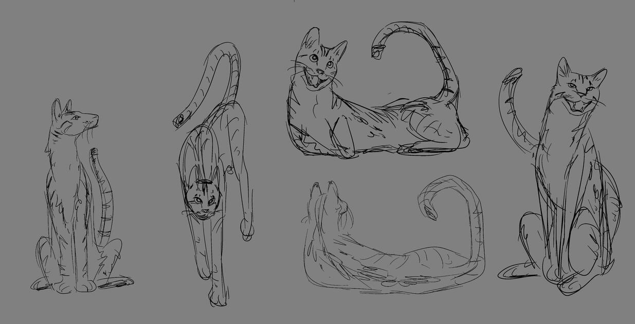 kitty pet portrait of an f4 savannah named Rufus